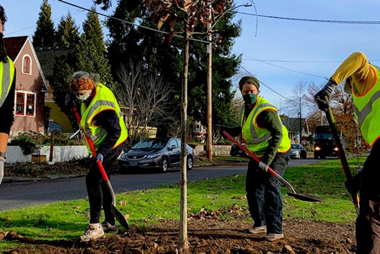 Portland Consolidates Tree Permitting and Enforcement Under Permitting & Development Department