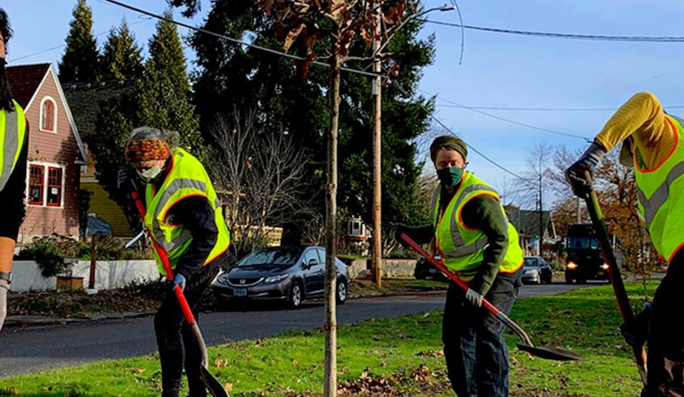 Portland Consolidates Tree Permitting and Enforcement Under Permitting & Development Department