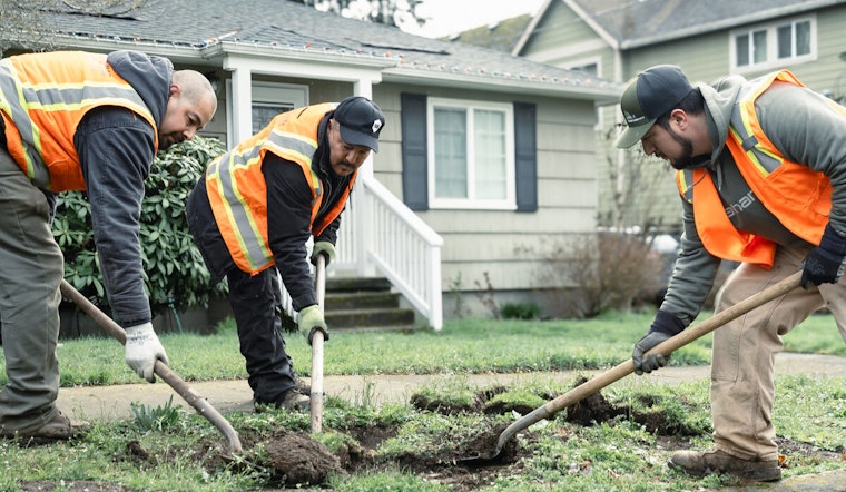 Portland Partners with Local Landscaping Firm to Expand Urban Tree Canopy