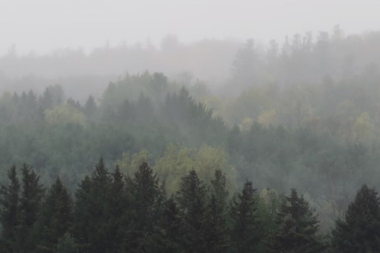 Portland Weather Update Begins with Foggy Morning and Transitions to Partly Sunny Skies with Showers on the Horizon