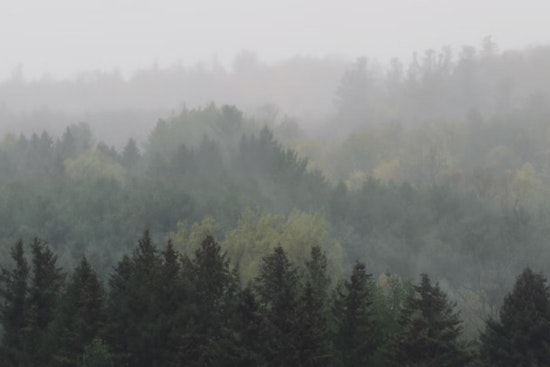 Portland Weather Update Begins with Foggy Morning and Transitions to Partly Sunny Skies with Showers on the Horizon