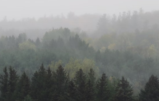 Portland Weather Update Begins with Foggy Morning and Transitions to Partly Sunny Skies with Showers on the Horizon