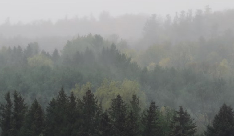 Portland Weather Update Begins with Foggy Morning and Transitions to Partly Sunny Skies with Showers on the Horizon
