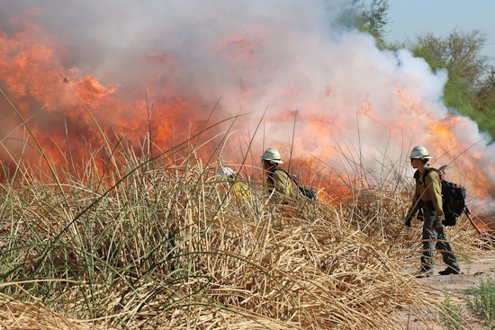 Prescribed Burn at Tres Rios Wetlands Set for October to Manage Overgrowth in Phoenix
