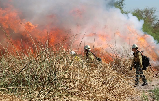 Prescribed Burn at Tres Rios Wetlands Set for October to Manage Overgrowth in Phoenix