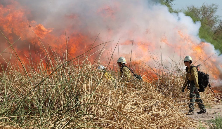 Prescribed Burn at Tres Rios Wetlands Set for October to Manage Overgrowth in Phoenix