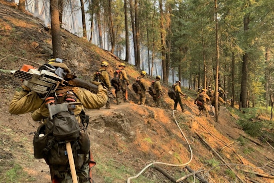 Prescribed Burns Near Flagstaff Set to Promote Forest Health and Reduce Wildfire Risks