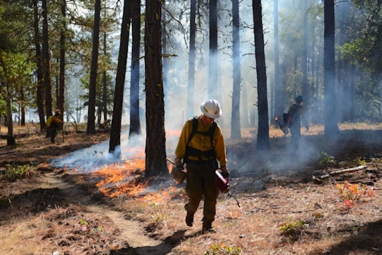 Prescribed Fire by Moraga-Orinda Fire District Planned for Ecological and Safety Purposes Near Ridge Crest Rd