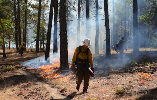 Prescribed Fire by Moraga-Orinda Fire District Planned for Ecological and Safety Purposes Near Ridge Crest Rd