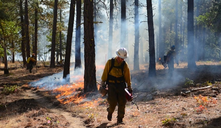 Prescribed Fire by Moraga-Orinda Fire District Planned for Ecological and Safety Purposes Near Ridge Crest Rd