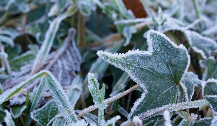 Raleigh Residents Enjoy Sunshine with Frost Advisory on the Weekend Horizon