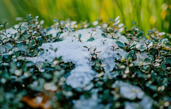 Raleigh Residents Warned to Guard Vegetation Against Frost, Fire Danger Advisory Issued