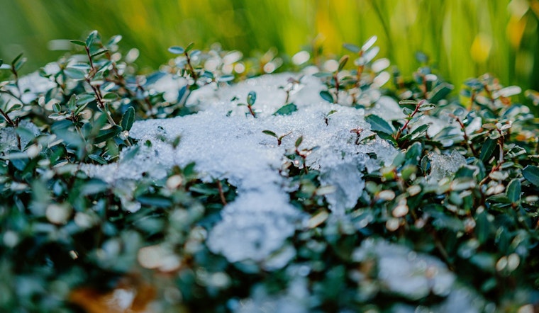 Raleigh Residents Warned to Guard Vegetation Against Frost, Fire Danger Advisory Issued