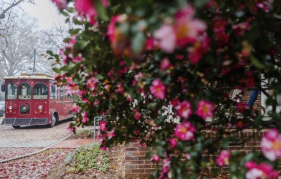Raleigh Transforms into Festive Wonderland with Local Heritage Activities in December