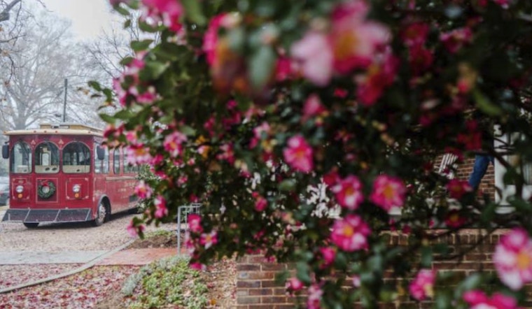Raleigh Transforms into Festive Wonderland with Local Heritage Activities in December