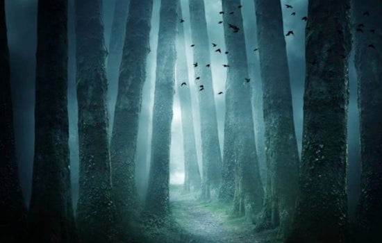 Raleigh's Method Community Park Unveils "Lil Lottie's Nightmare" Haunted House for Halloween Thrills