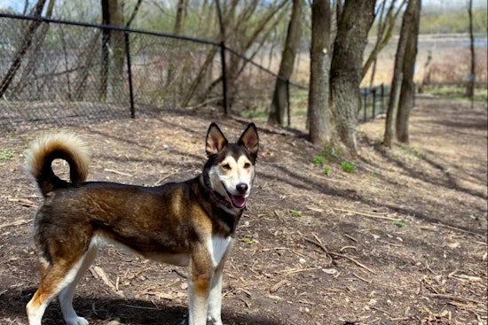Ramsey County Invites Public Input on Phase 2 of Dog Park Improvements at Otter Lake and Rice Creek