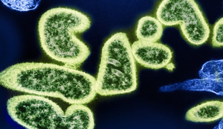 Revolutionary "Enterololin" Antibiotic from MIT and McMaster Shields Gut Microbes While Fighting Disease