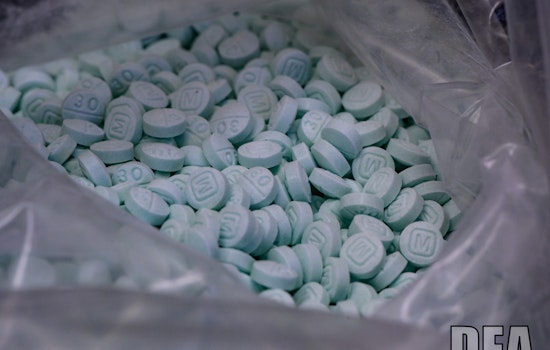 Rice County Reports Decline in Overdose Deaths Amid Ongoing Opioid Battle