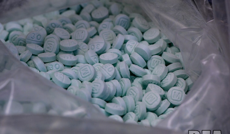 Rice County Reports Decline in Overdose Deaths Amid Ongoing Opioid Battle