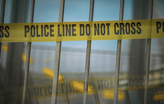Road Rage Rampage: Paw Paw Man Assaults Woman with Chainsaw in Van Buren County Fury!