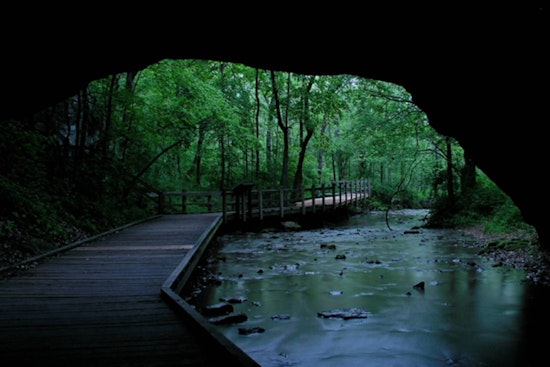 Rock Bridge Memorial State Park to Close for Managed Deer Hunt on Nov. 3-4