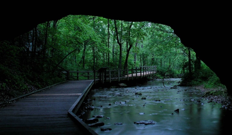 Rock Bridge Memorial State Park to Close for Managed Deer Hunt on Nov. 3-4