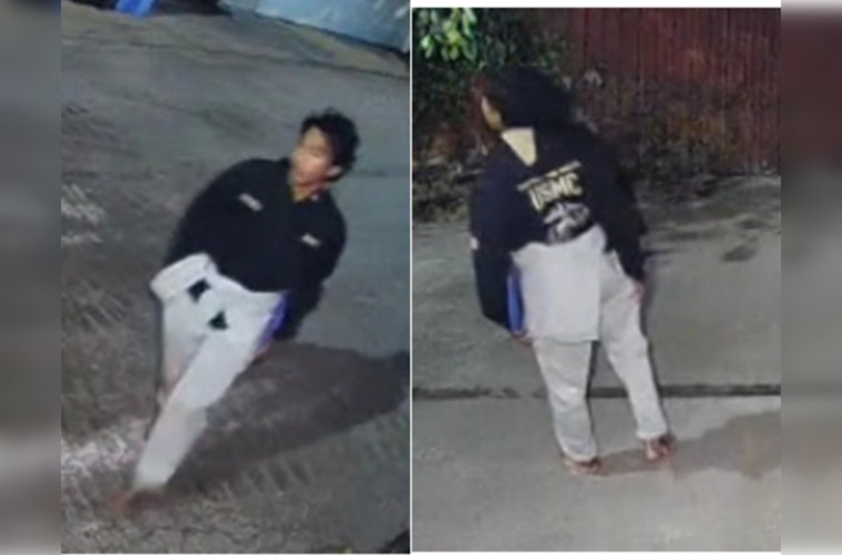 Rogers Park on Alert: Chicago Police Hunt for Suspect After Attempted Home Invasion and Assault