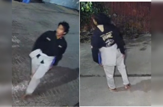 Rogers Park on Alert: Chicago Police Hunt for Suspect After Attempted Home Invasion and Assault