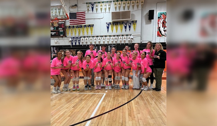 Roseville Rallies for Breast Cancer with "Dig Pink" Volleyball Game and Pink Patch Sales