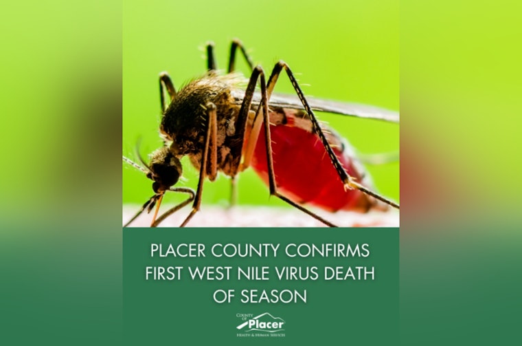 Roseville Resident Succumbs to West Nile Virus Amid Increased Activity in Placer County
