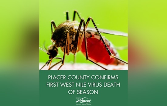 Roseville Resident Succumbs to West Nile Virus Amid Increased Activity in Placer County