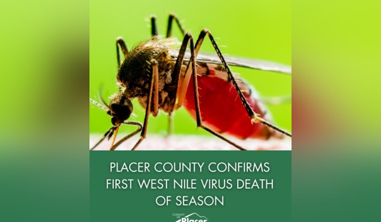 Roseville Resident Succumbs to West Nile Virus Amid Increased Activity in Placer County