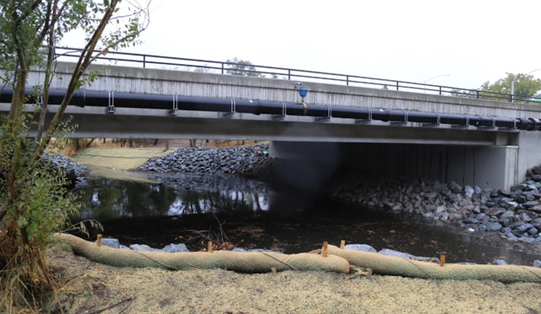 Sacramento Celebrates Reopening of Modernized Arcade Creek Bridge with Enhanced Safety Features