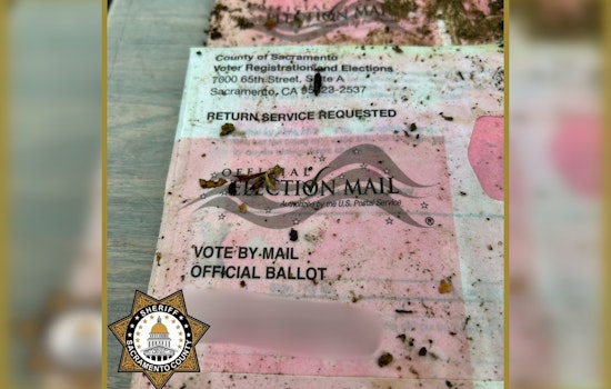Sacramento Officials Recover Stolen Election Mail from Homeless Camp Amid Integrity Concerns