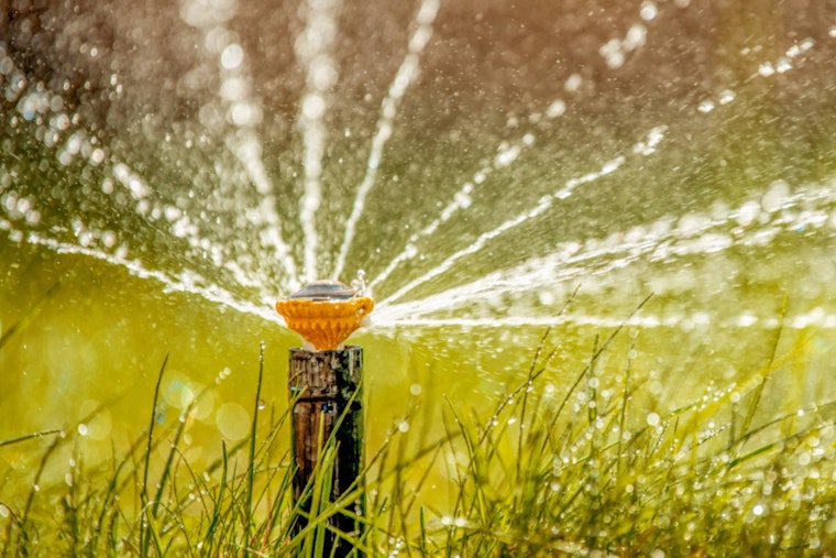 Sacramento Shifts to Once-a-Week Watering as Cooler Weather Sets In