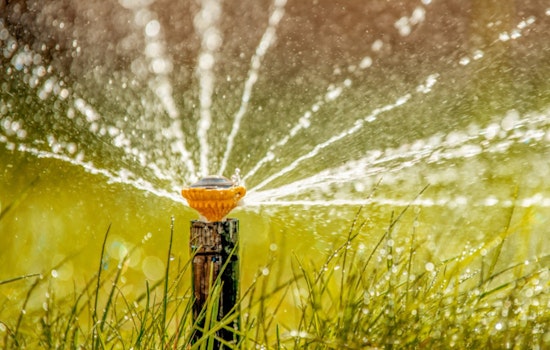 Sacramento Shifts to Once-a-Week Watering as Cooler Weather Sets In