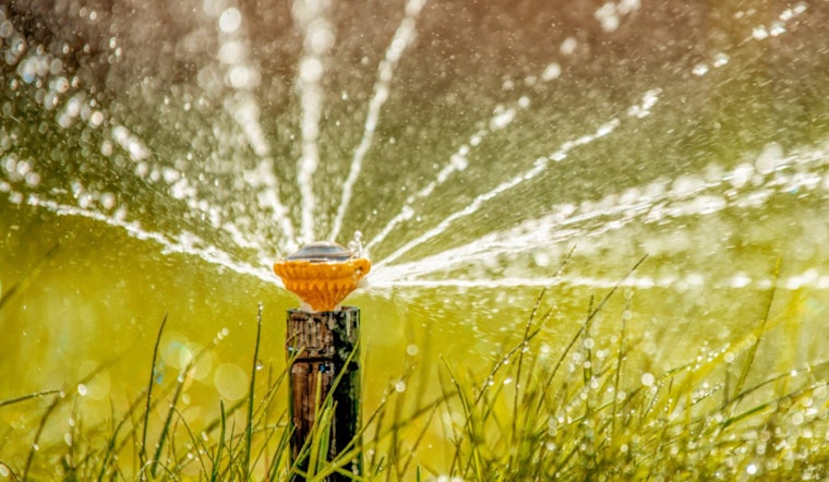 Sacramento Shifts to Once-a-Week Watering as Cooler Weather Sets In