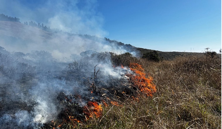 Salt Point State Park Plans Controlled Burn for Ecological Health, Public Advised of Minor Disruptions