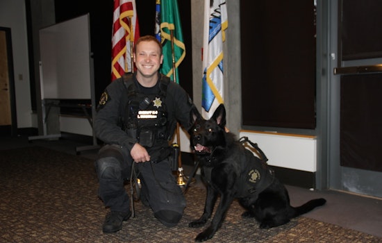 Sammamish Welcomes K9 Falco to Enhance Local Police Force Capabilities