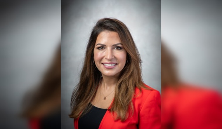 San Antonio City Council Considers Enhanced Mailbox Security Measures to Combat Persistent Theft