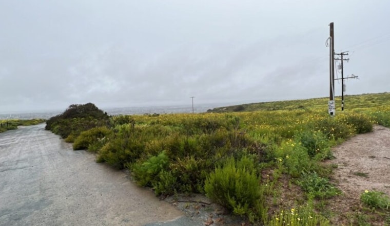 San Diego County Invests $1.4M in Soil Study to Tackle Tijuana River Valley Contamination Concerns