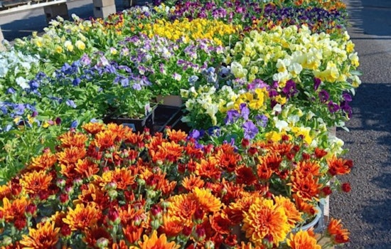 San Diego County's Agriculture Valued at $1.67 Billion with Robust Growth in Vegetable Sector