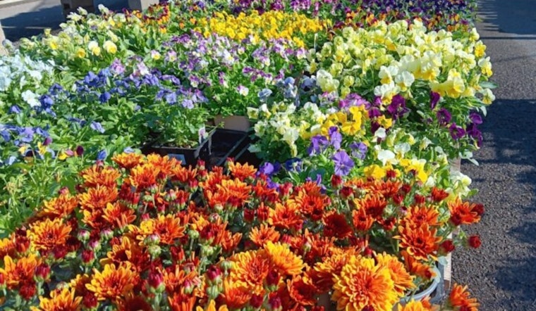 San Diego County's Agriculture Valued at $1.67 Billion with Robust Growth in Vegetable Sector