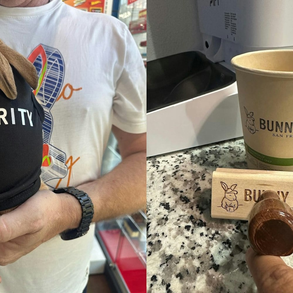 San Francisco's First Bunny Cafe Launch Date Approaches; Concept Sparks Animal Welfare Debate Before It Even Opens