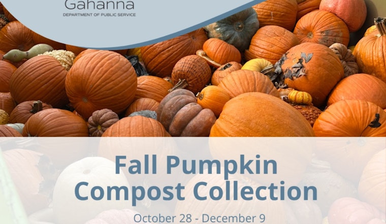 Residents Launches Pumpkin Composting Initiative at Lower McCorkle Park