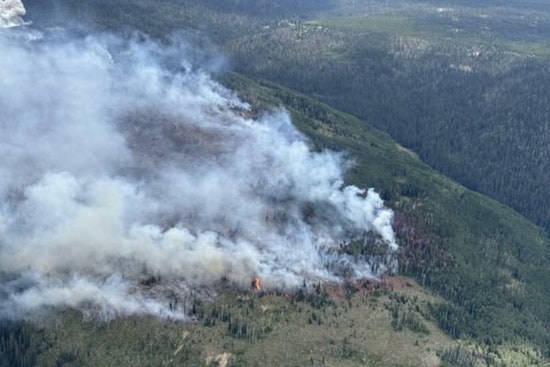 San Juan National Forest Reopens Hunting Areas Following Containment of Stoner Mesa Fire