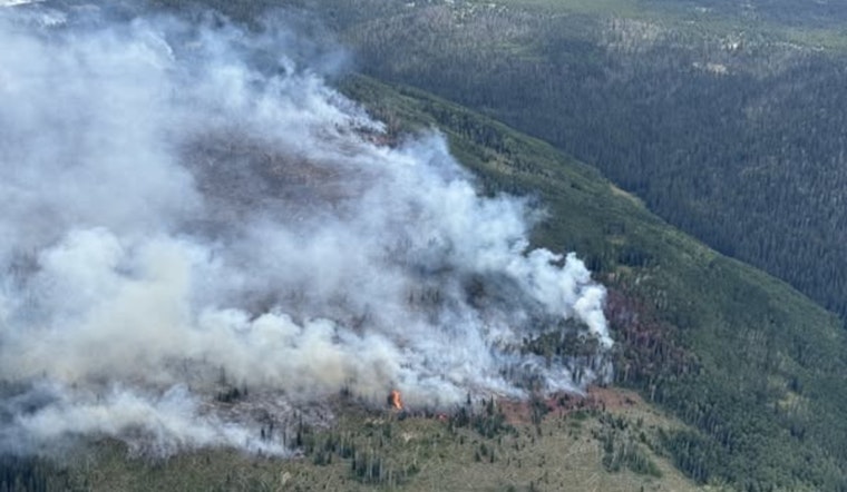 San Juan National Forest Reopens Hunting Areas Following Containment of Stoner Mesa Fire