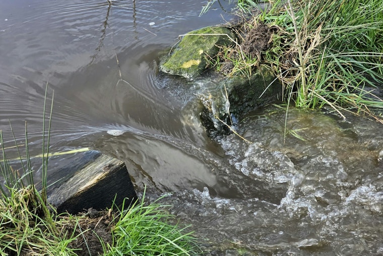 Seattle and King County Fined for Water Quality Permit Violations and Sewer Overflows in 2024