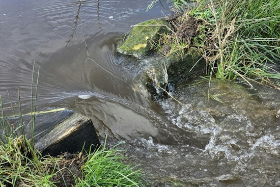 Seattle and King County Fined for Water Quality Permit Violations and Sewer Overflows in 2024